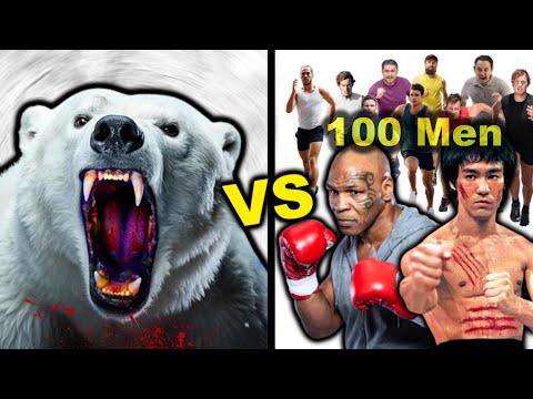 Видео: Белый медведь против 100 человек — кто победит?