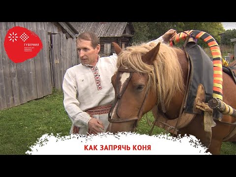 Видео: «Как запрячь коня». Документальная зарисовка