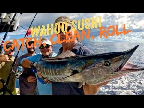 Видео: Wahoo Sushi — (Поймай, Очисти, Сверни)