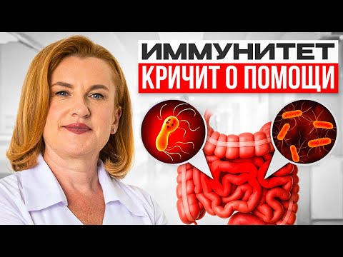 Видео: Секреты влияния кишечника на иммунитет! Простые советы для здоровья иммунитета