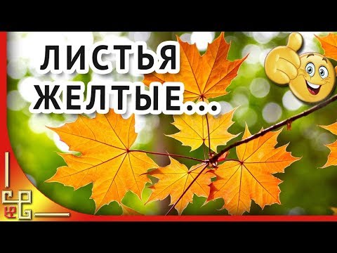 Видео: Листья желтые над городом кружатся. Музыка СССР