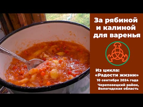 Видео: За рябиной и калиной.  "Радости жизни". 10 сентября 2024 года.