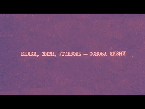 Видео: 2.1 Белки, жиры, углеводы — основа жизни | Химия вокруг нас