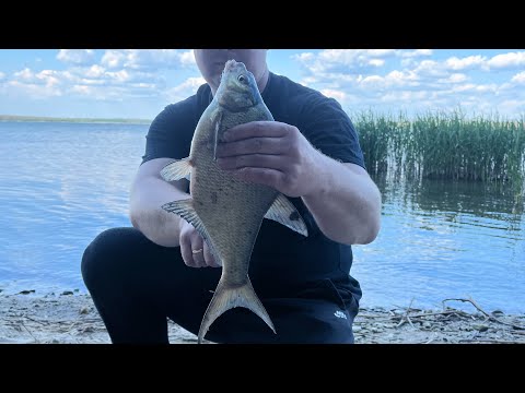 Видео: Рыбалка на леща 2025 ! Черный лес ! Рыбалка на пружину в Печенегах ! Ловля леща на водохранилище!