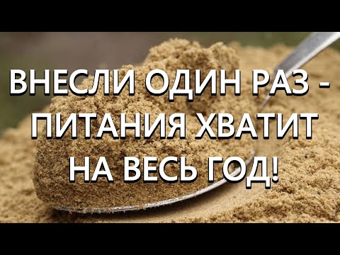 Видео: Внесли один раз в почву - питания хватит на весь год!