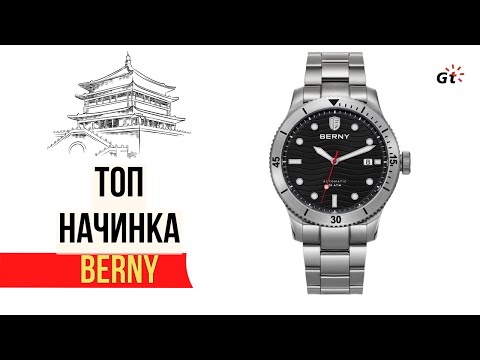 Видео: ДАЙВЕР-УНИВЕРСАЛ С ТОПОВЫМИ ХАРАКТЕРИСТИКАМИ Berny AM134