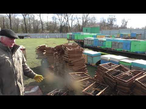 Видео: Варка и чистка соторамок.