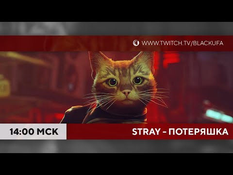 Видео: Stray - полное прохождение