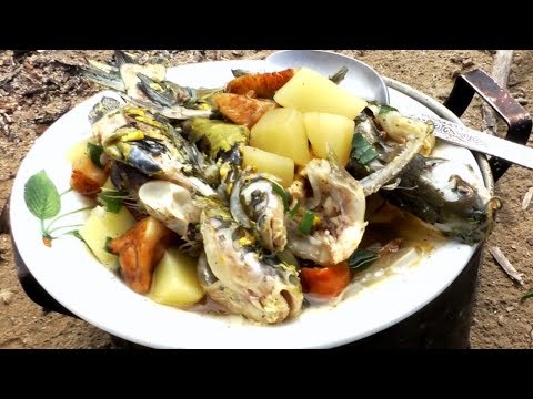 Видео: Настоящая рыбацкая УХА на костре, из касатки  с грибами, по рецепту рыбака,#МоиРецепты #Уха