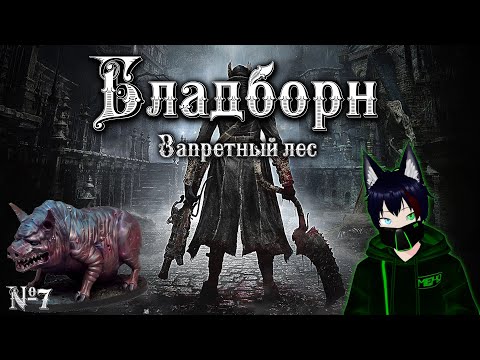 Видео: BloodBorne №7 Запретный Лес Meho [Vtuber]