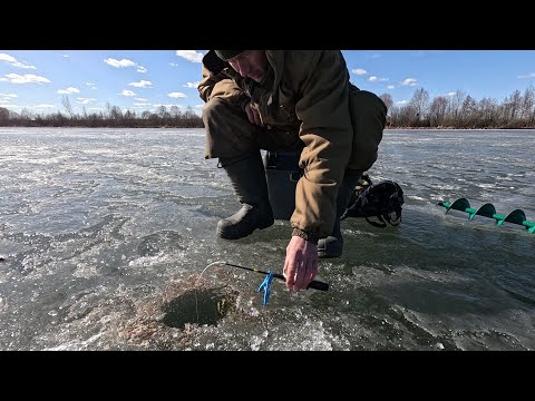 Видео: Уже точно ПОСЛЕДНЯЯ ЗИМНЯЯ РЫБАЛКА ЭТОЙ ЗИМОЙ НА ЛЬДУ 🎣 Рыба ловится 🐟