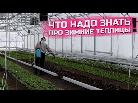 Видео: Обязательные условия для работы зимней теплицы. Как экономить на отоплении?