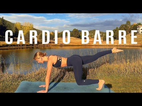 Видео: 20-минутная кардио-тренировка в стиле «барре» дома без оборудования