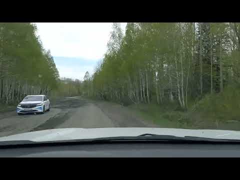 Видео: Черемшанка-Зимовье (Риддер- Усть-Каменогорск ). Дорога отпад... отпад колёс, пятой точки...