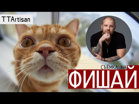 Видео: Что снимать на фишай? Объектив 7,5 мм TTArtisan