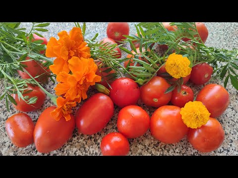 Видео: Консервированные помидоры с бархатцами на зиму