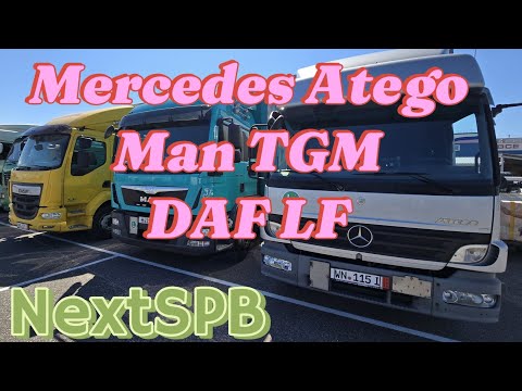 Видео: Смотрим Mercedes, Man, DAF.. Какую выбрать?😁😁🔥🔥🔥 #mercedes #man #daf #грузоперевозки