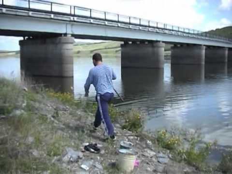 Видео: Сазан залива Сыда. На донку с берега