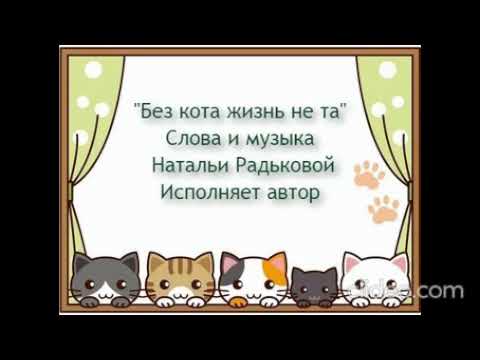 Видео: "Без кота жизнь не та". Автор и исполнитель Наталья Радькова. Аранжировка Дмитрий Сушко