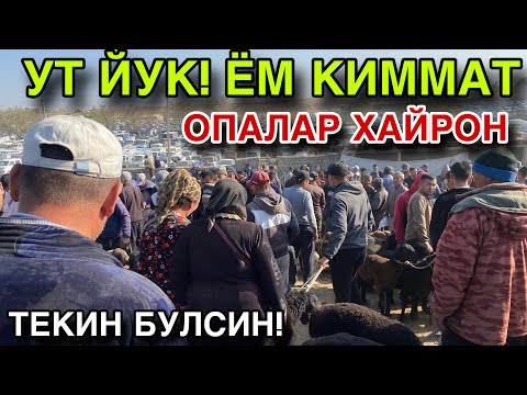 Видео: ШУНИ КУТКАНМИДИЗ! 23 ОКТЯБРЬ КУЙ КУЗИ НАРХЛАРИ 2025. ЧИРОКЧИ МОЛ БОЗОРИ НАРХЛАРИ 2025.