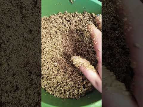 Видео: готовлю вермикулит к укоренению черенков)
