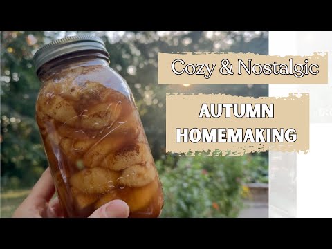 Видео: Консервирование начинки для яблочного пирога БЕЗ ClearJel | Простой и безопасный рецепт