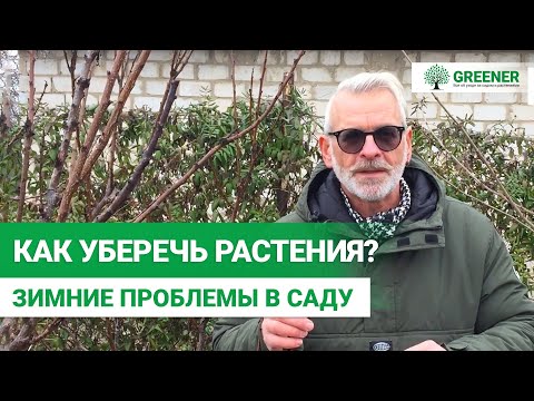 Видео: МАЛОСНЕЖНАЯ зима и другие проблемы. ЧТО ДЕЛАТЬ? Советы Эксперта!