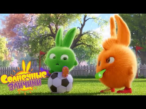 Видео: ТРЕНИРОВОЧНЫЙ ДЕНЬ - Солнечные зайчики | Сборник мультфильмов для детей
