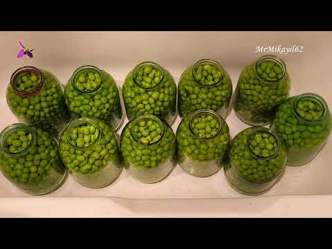 Видео: Как засолить оливки в домашних условиях - самое подробное видео для начинающих. 12.10.25. Баку