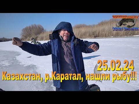Видео: Зимняя рыбалка , Каратал, новая старица 25.02.24.