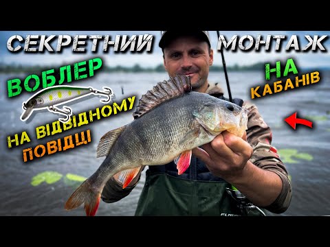Видео: ✅Такого Ви НЕ БАЧИЛИ! Секретний Монтаж НА КАБАНІВ✅