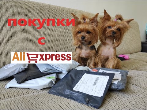 Видео: Покупки с АлиЭкспресс для собак.