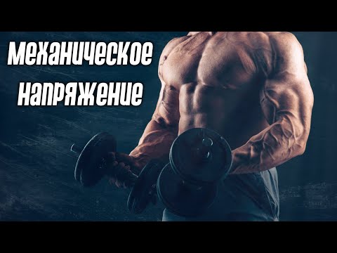 Видео: Как растут мышцы? Механическое напряжение и метаболический стресс.