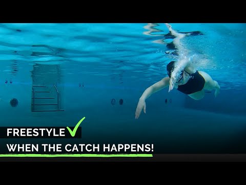 Видео: Когда ловля вольным стилем происходит! | Техника плавания