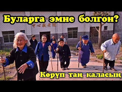 Видео: Дүйнөдөгү эң таң калычтуу элдер / Көрмөйүнчө ишенбейсиң