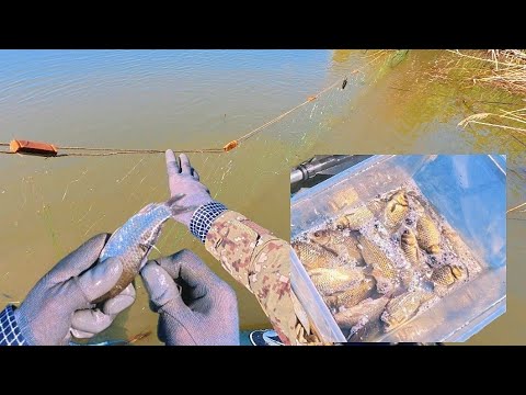 Видео: Проверяю сеть, СТАВЛЮ ПЕРЕМЁТ НА ХИЩНИКА! #рыбалка #fishing #낚시 #рыбалканаозере #carpfishing