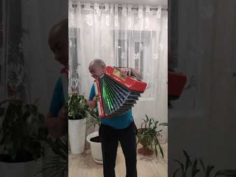 Видео: "Карлыган кара була.....