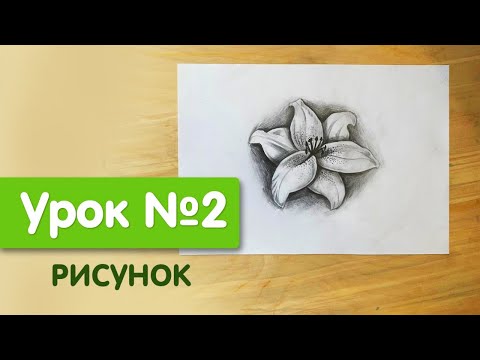 Видео: Мини курс "Пикчер" | Урок №2. Рисунок | Цветок лилии