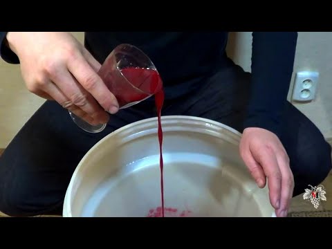 Видео: Вино ИЗ КАЛИНЫ / Как СДЕЛАТЬ КАЛИНОВКУ в Домашних УСЛОВИЯХ