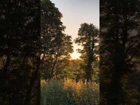 Видео: Масғұт поэмасы толық нұсқа