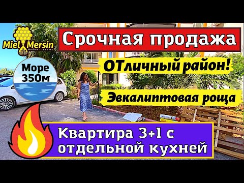 Видео: СРОЧНО ПРОДАЁТСЯ КВАРТИРА 3+1. МЕРСИН НЕДВИЖИМОСТЬ ТУРЦИЯ.  #мерсин #мерсиннедвижимость #турция