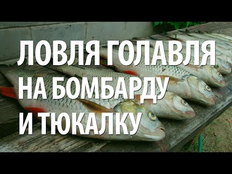 Видео: РЫБА ГОЛАВЛЬ на СБИРУЛИНО и ТЮКАЛКУ. ЛЕТНЯЯ РЫБАЛКА на МОКШЕ в МОРДОВИИ