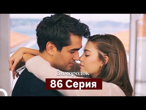 Видео: Зимородок 86 Cерия (Русский дубляж)