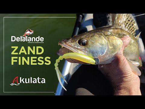 Видео: За бяла риба с нови примамки. Zand Finess в действие