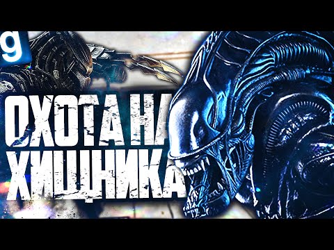 Видео: ОБЪЯВИЛ ОХОТУ НА ХИЩНИКА! ИГРАЮ ЗА ОБРАЗЕЦ ЧУЖОЙ! ► Garry's Mod SCP RP [Гаррис Мод СЦП РП]