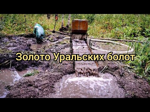 Видео: Золото Уральских болот ч 1