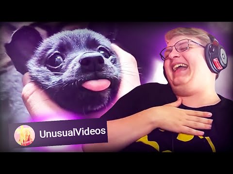 Видео: Пятёрка Смотрит UNUSUAL MEMES COMPILATION V134 | Нарезка стрима ФУГА TV