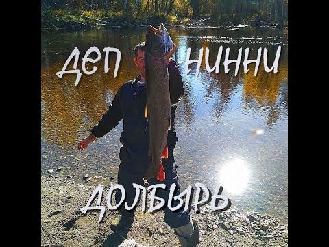 Видео: Охота на Тайменя. Река Деп. Долбырь. Нинни. 15.09.2018.