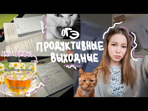 Видео: STUDY VLOG||study with me||будни девитиклассницы||ПОДГОТОВКА К ОГЭ ХИМБИО #studylog #vlog #химбио