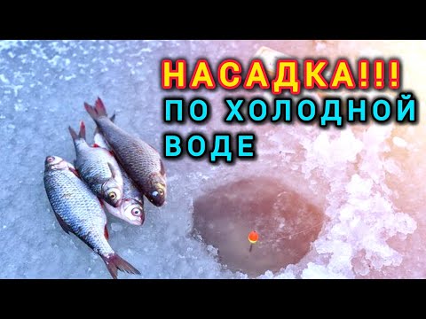 Видео: Насадка по холодной воде!Насадка для осенней и  зимней рыбалки,насадка на Плотву,Карася,Леща!